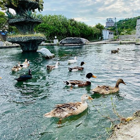 Kompleksi Turistik Dea Mjede Exteriör bild