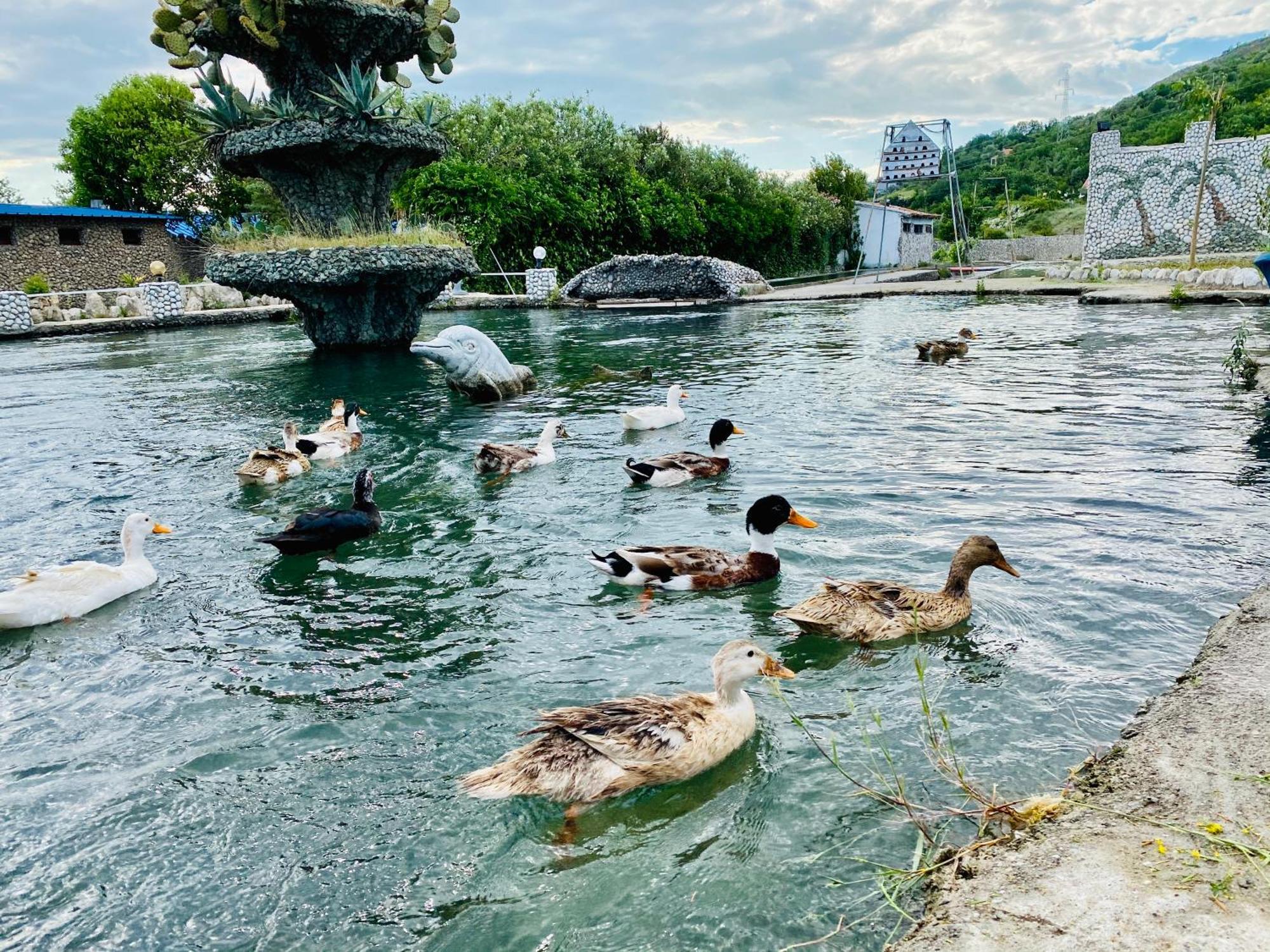 Kompleksi Turistik Dea Mjede Exteriör bild